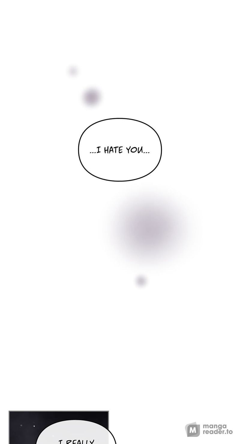 Page 1 of Chapter 17: Chapter 17: Social Dynamics